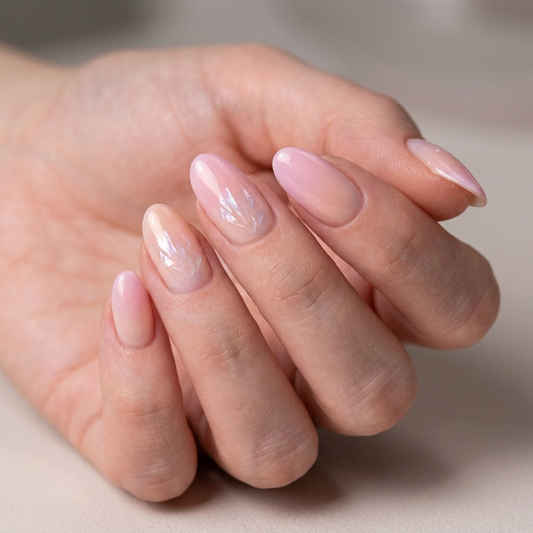 Anvers — bandes de gel semi-durci Gellyni